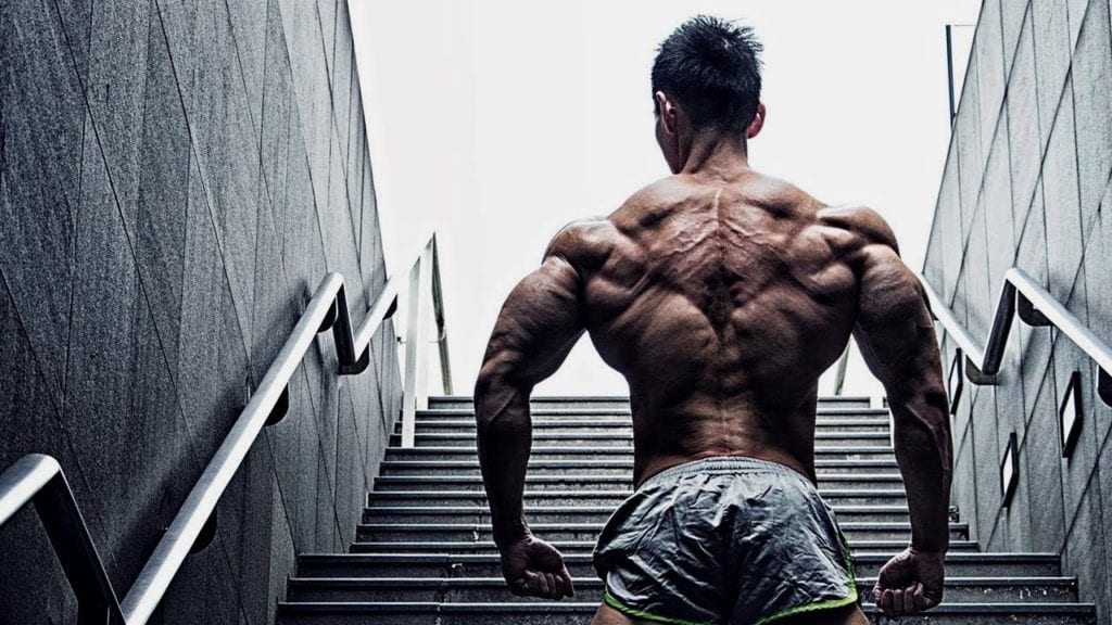 safest steroid for bulking and cutting