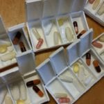 Trenbolone Cycle Logs, Lengths, Results and Side Effects