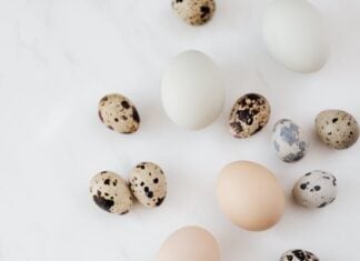 Egg White Nutrition – Four Proven Health Benefits