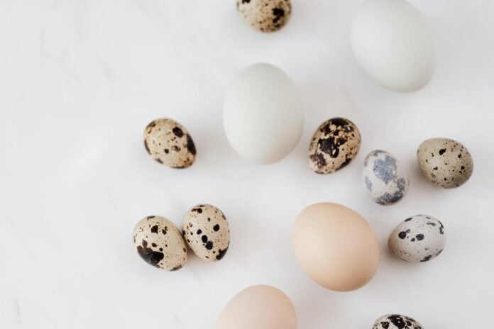 Egg White Nutrition – Four Proven Health Benefits