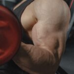 How to Choose a Training Program that Works for You Professional Reviews of Popular Bodybuilding Programs and Recommendations