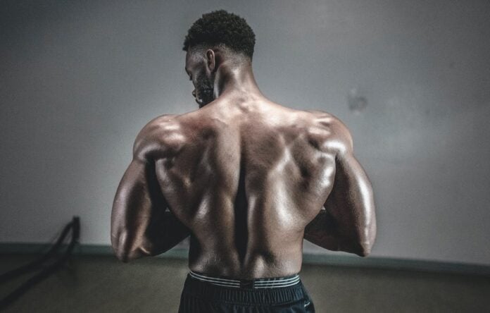 Know Your Row The Pros and Cons of 8 Different Back Exercises